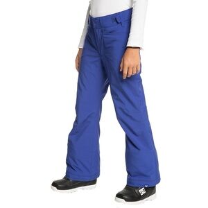 Roxy Women’s 10 K Bright Purple Snowboard Pants, size small